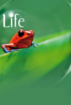 Сериал BBC: Жизнь (2009)