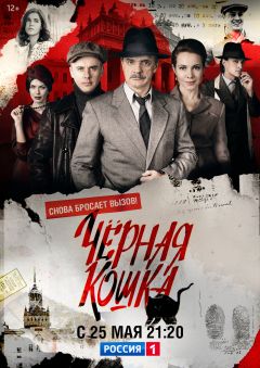 Сериал Черная кошка (2016)